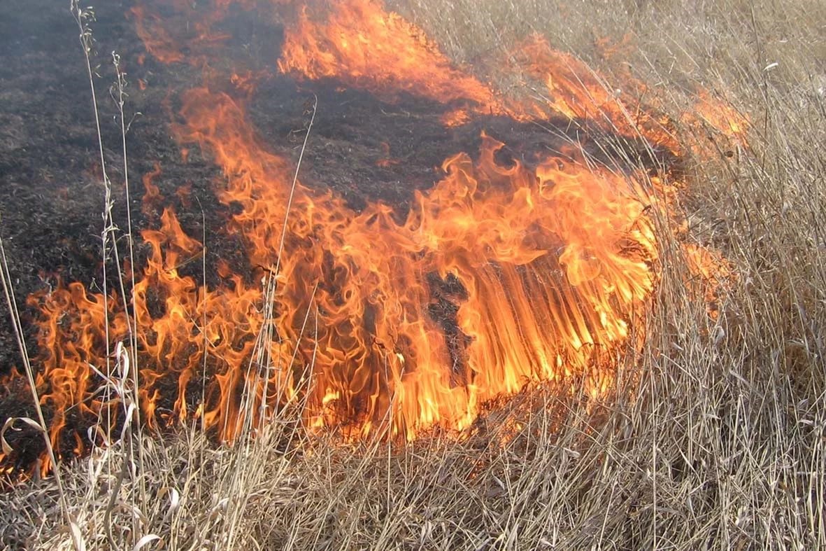 pozh bezopasnost