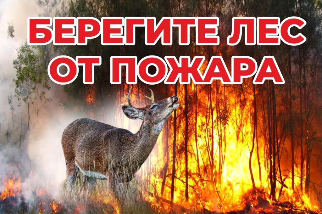 c9f3a673e943deb6fa2cf0b794855f77
