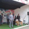 	Открытие VI Международного фестиваля современного анималистического искусства «ЗооАрт»