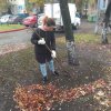 Осенний субботник 2019