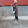 Субботник в ДДЮТ 