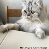 Мой любимый питомец